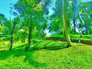 ගොඩකවෙලින් ඉඩමක්,
