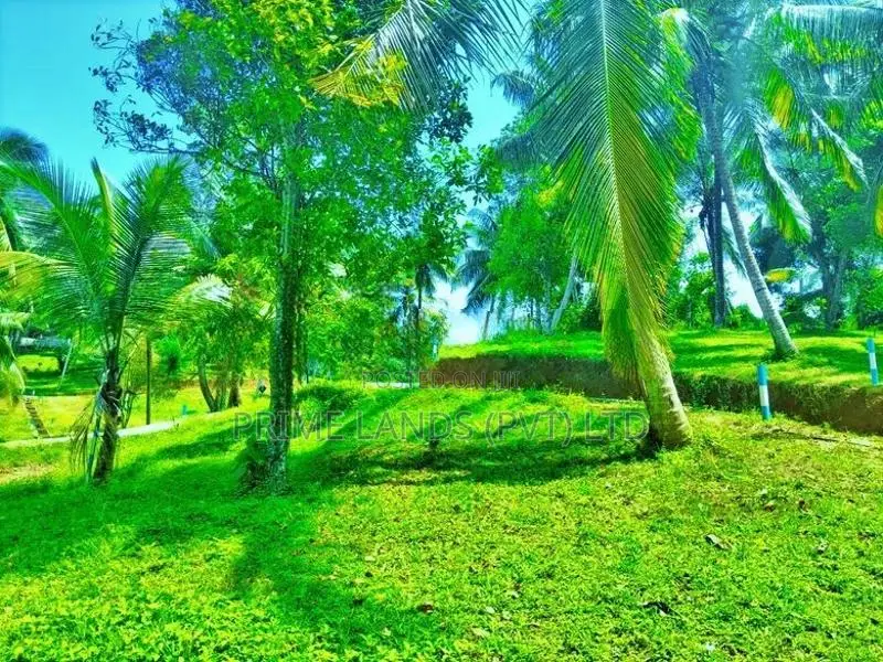 ගොඩකවෙලින් ඉඩමක්,