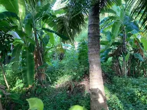 Land for Sale in Saram Mudali Mawatha Matara