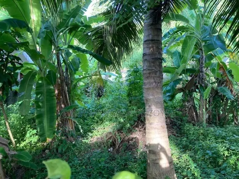 Land for Sale in Saram Mudali Mawatha Matara