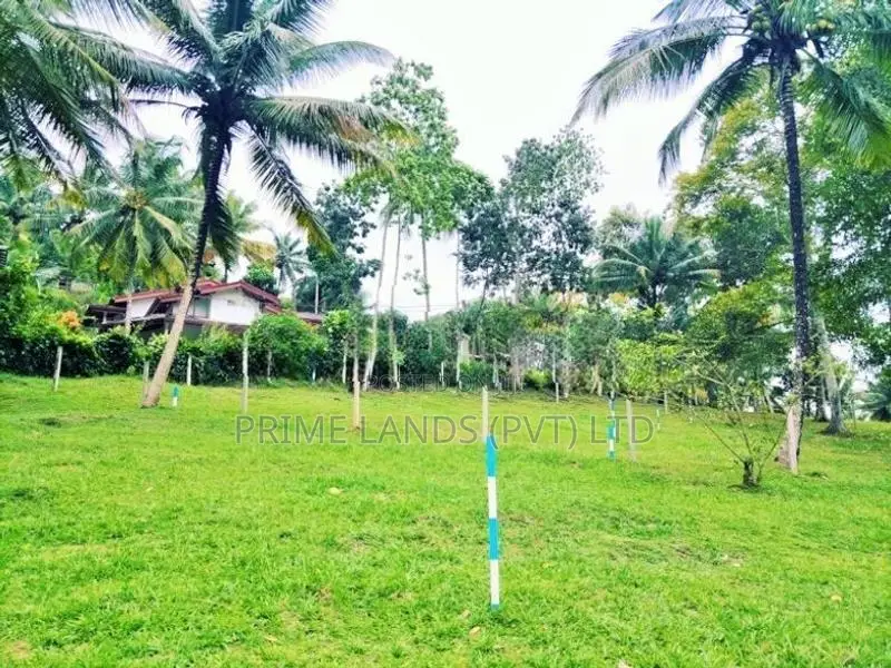 ගොඩකවෙලින් ඉඩමක්,
