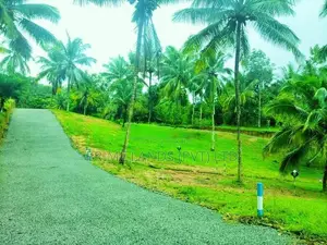 ගොඩකවෙලින් ඉඩමක්,