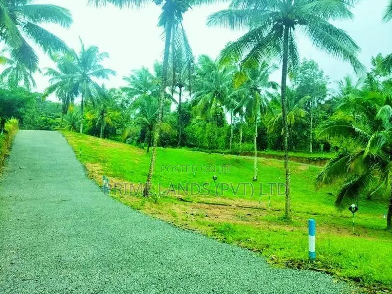 ගොඩකවෙලින් ඉඩමක්,