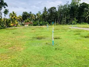 මිල්ලනිය නගරය
