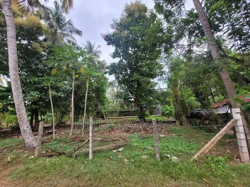 Land for Sale Dankotuwa