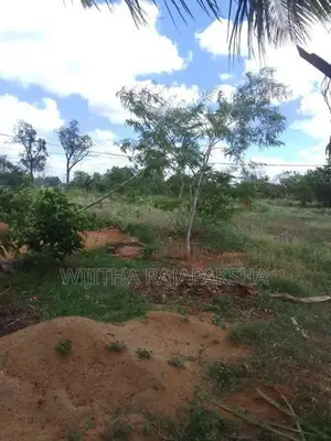 Land For Rent
