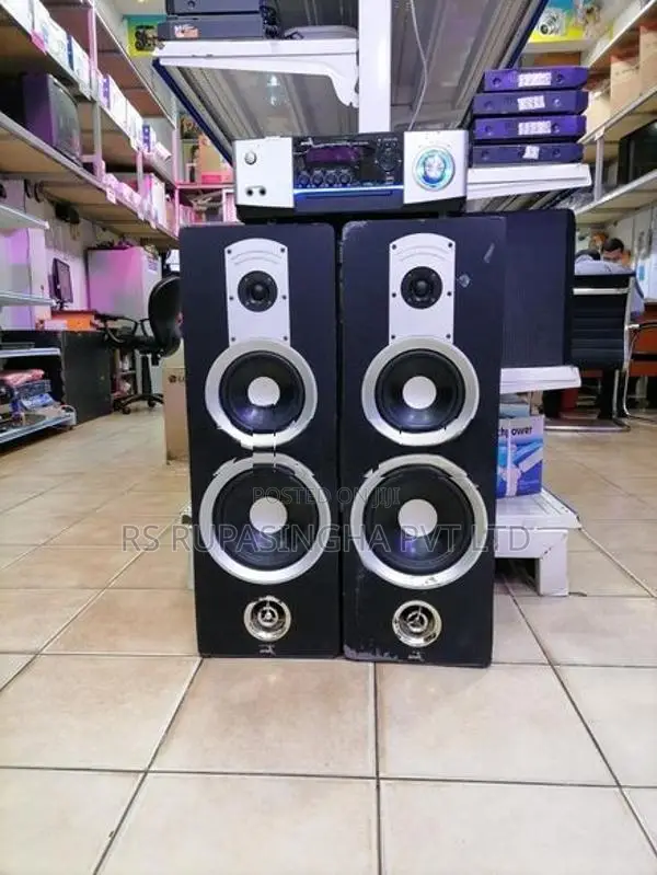 Avvox 2Buffle With Amp