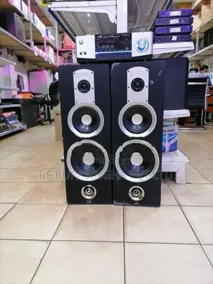 Avvox 2Buffle With Amp