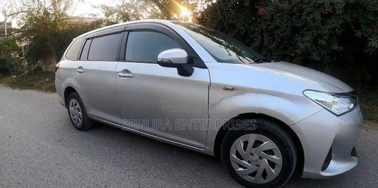 Toyota Corolla Fielder Axio NKE165 Rear Door LH