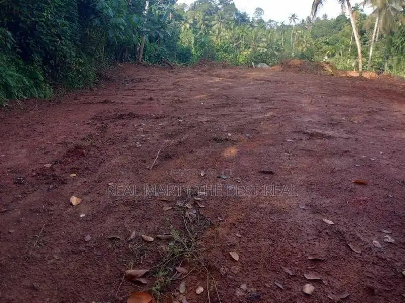 Meegoda : 23.8P Land for Sale in Godagama