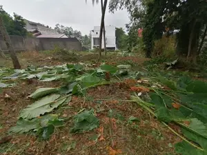 Land for Sale Thalawathugoda