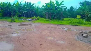 20Ft Entrance Road, Valuable Land for Sale in Bokundara Junction