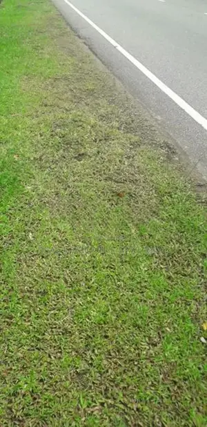 Boralasgamuwa : 13.5P Highly Residential Land for Sale
