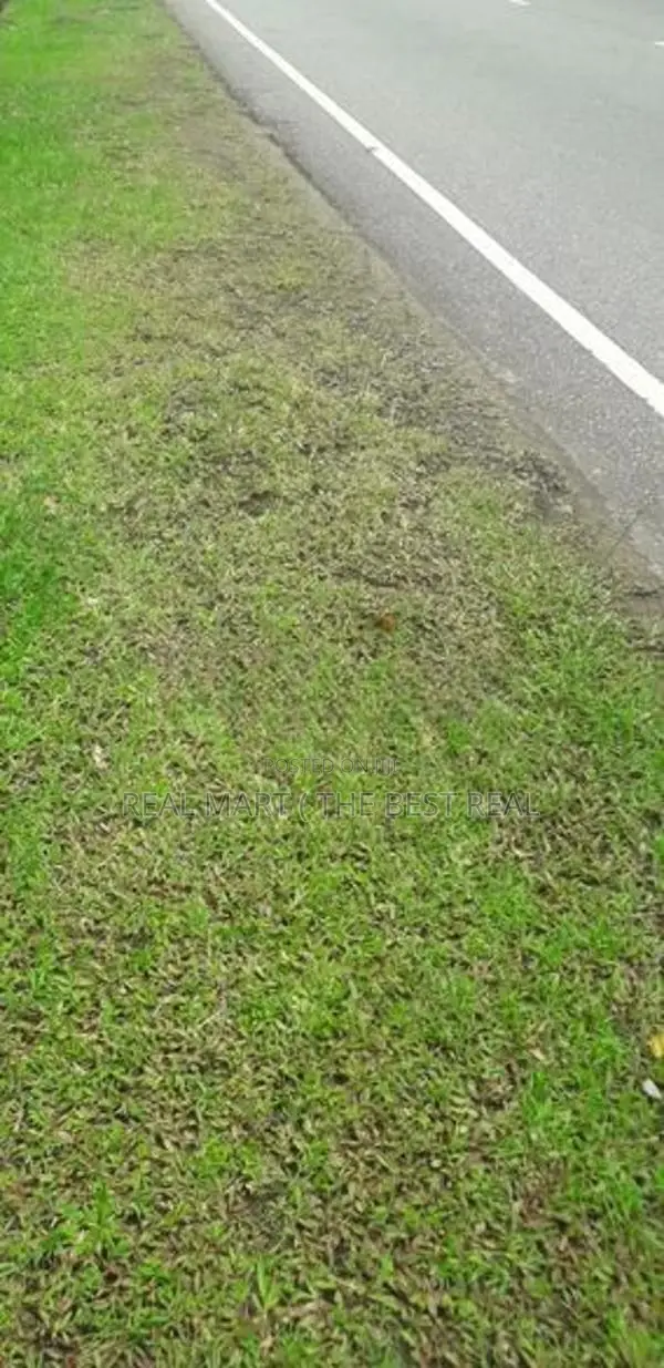 Boralasgamuwa : 13.5P Highly Residential Land for Sale