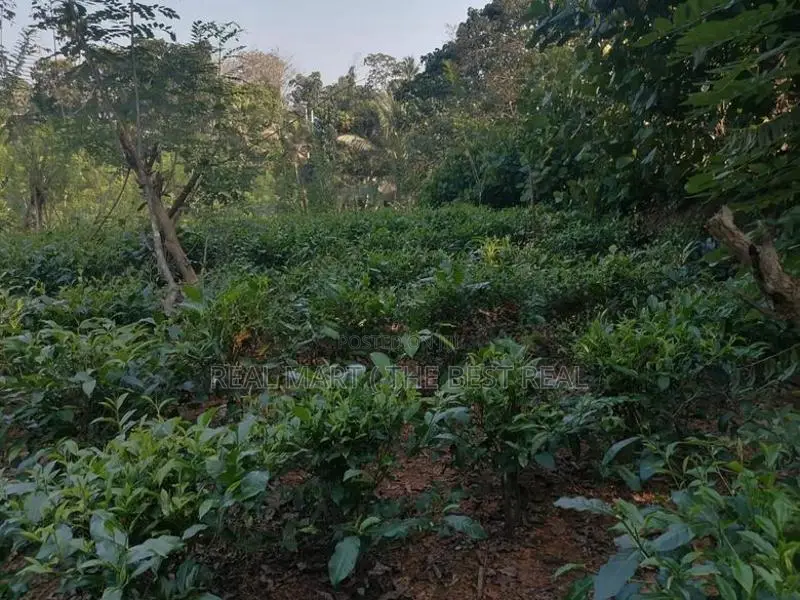Land for Sale Matugama