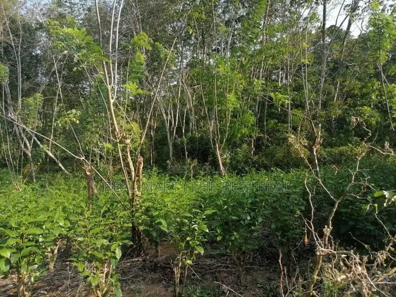 Land for Sale Matugama