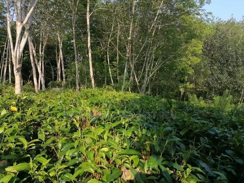 Land for Sale Matugama