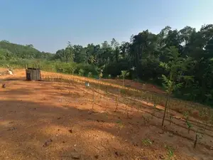 Land for Sale Matugama