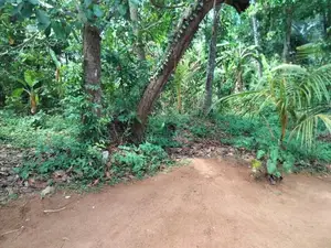 Land for Sale in Nadagamuwa, Gampaha