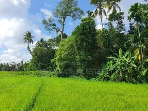 12.8 Perch Paddy Field View Land on Temple Road, Maharagama (SL 14341)