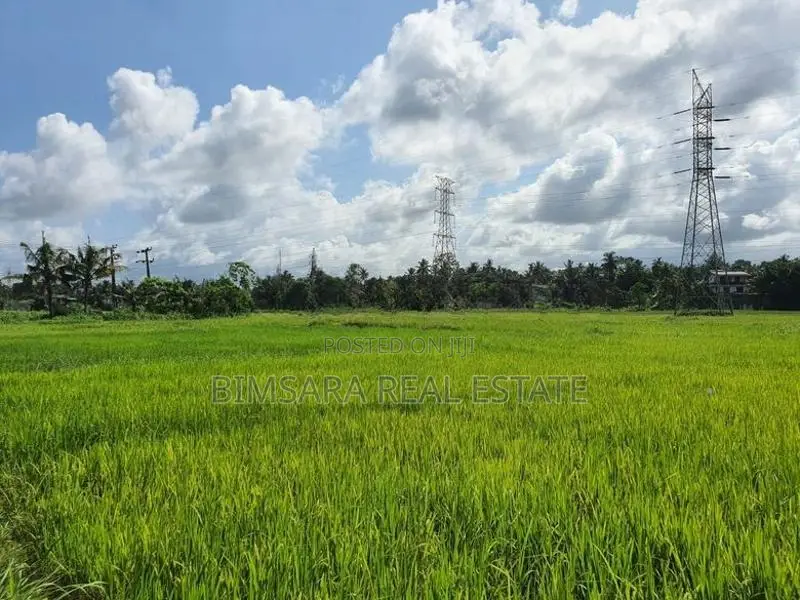 12.8 Perch Paddy Field View Land on Temple Road, Maharagama (SL 14341)