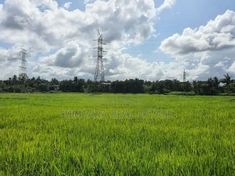 12.8 Perch Paddy Field View Land on Temple Road, Maharagama (SL 14341)