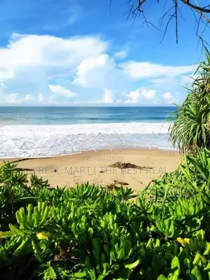 Induruwa : 58p Hotel land for sale facing to Beach