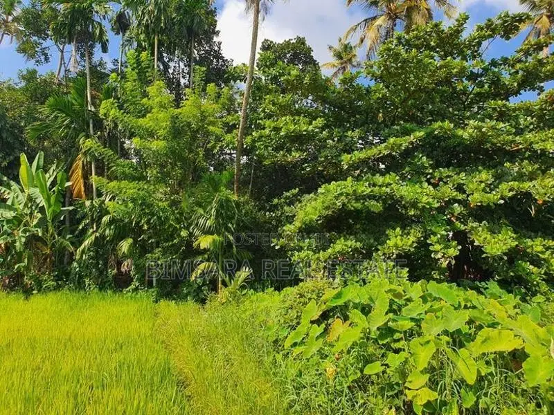 12.8 Perch Paddy Field View Land on Temple Road, Maharagama (SL 14341)