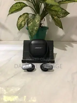Bose Earpods (Used)