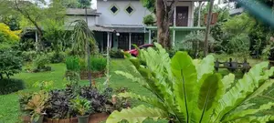 Maharagama : 27P Highly Residential House for Sale at Neelammahara