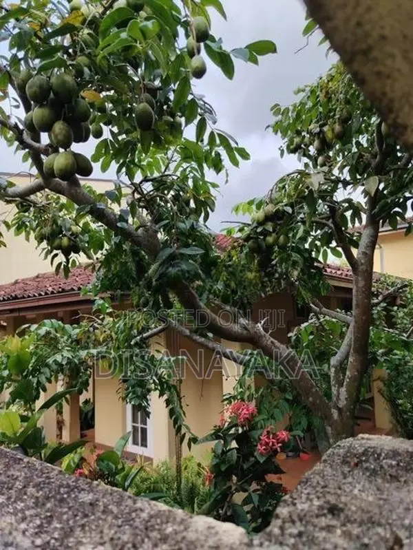 single House for Sale Subuthipura Ds1565