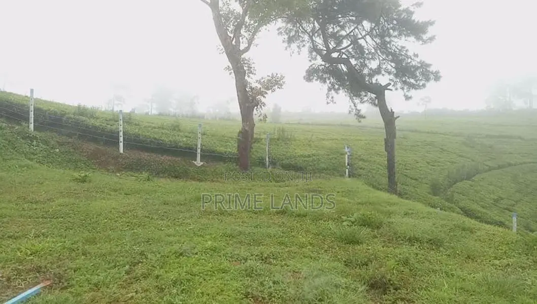 Land for Sale Nuwara Eliya