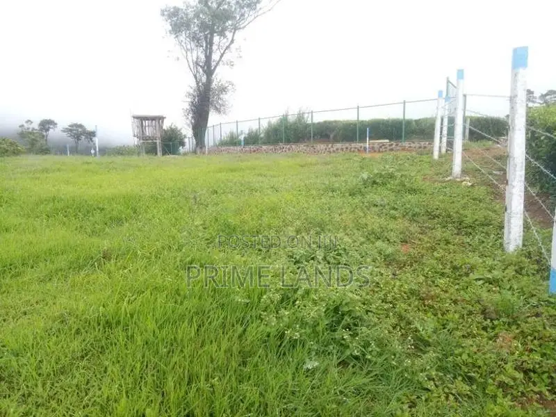 Land for Sale Nuwara Eliya