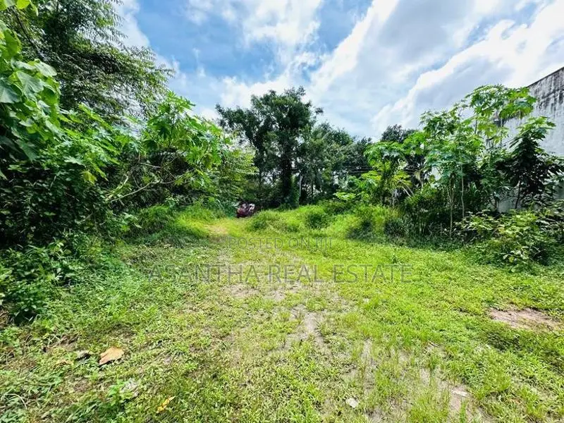 (IP132) 40 p Bare Land Sale At Horahena Road Hokandara Thalawathugoda