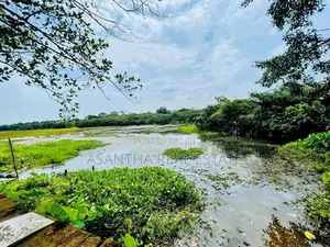 (IP144) Facing Lake 16 P Land Darmapala Mw ITN Wekaramasinghe pura