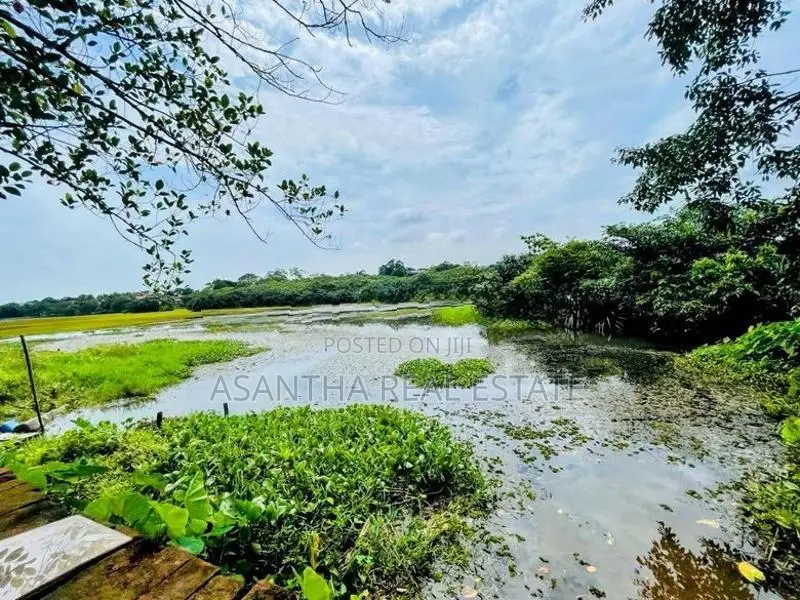 (IP144) Facing Lake 16 P Land Darmapala Mw ITN Wekaramasinghe pura