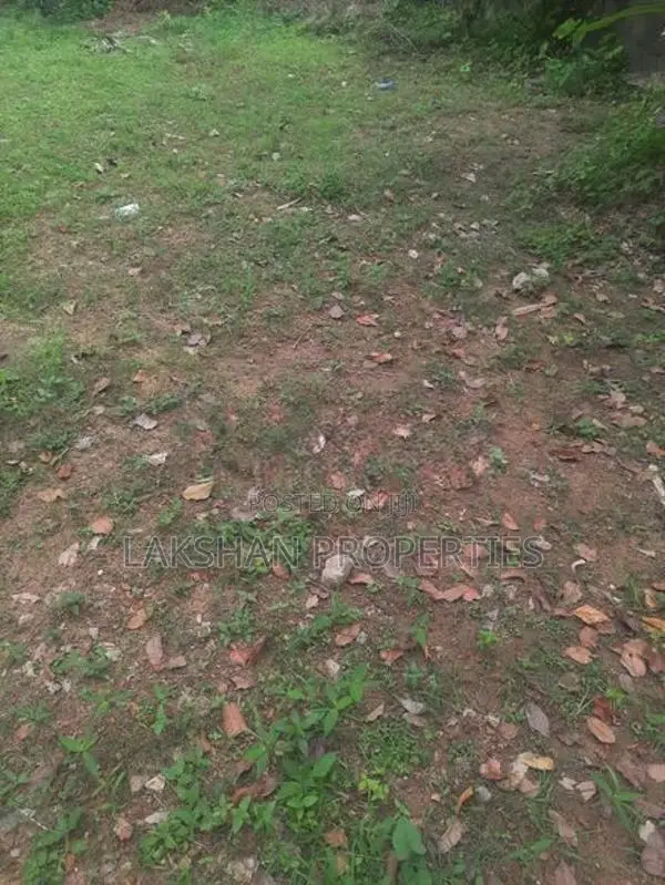 Land For Sale In Bellanvila