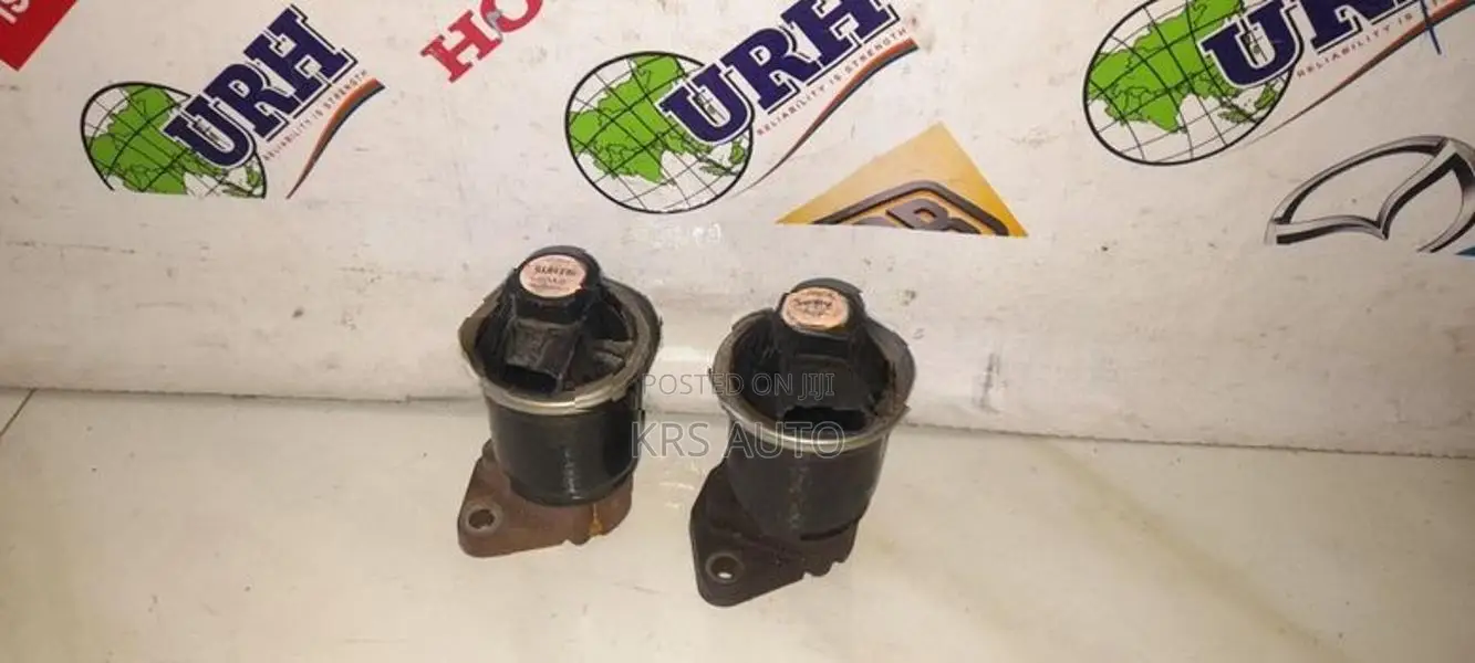 Honda Insight ZE2 EGR