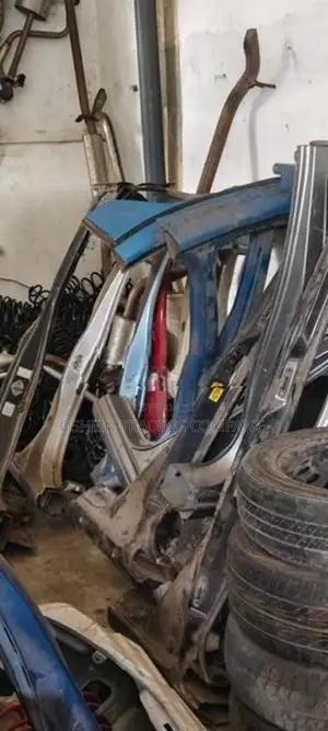 Aqua Vitz Axio Door Post