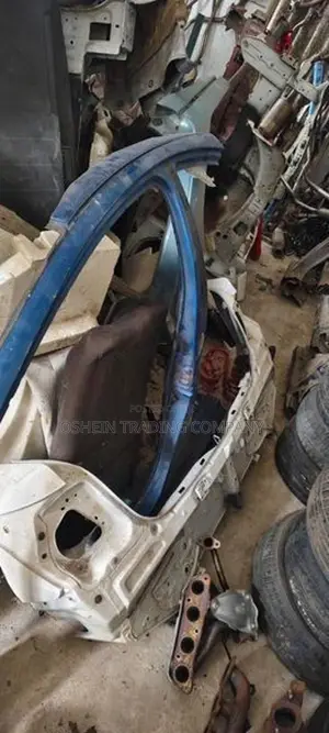 Aqua Vitz Axio Door Post