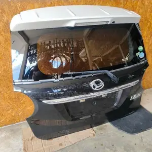 Daihatsu Cast Dickey Door