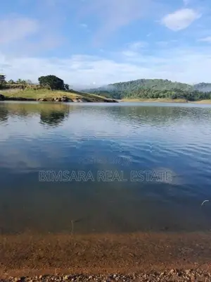 40P Land Overlooking the Victoria Reservoir in Teldeniya (SL 14432)