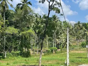 Land for Sale in Godagama ( Watareka)