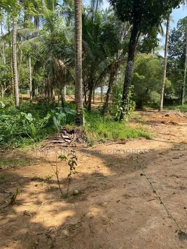 Land for Sale in Godagama ( Watareka)
