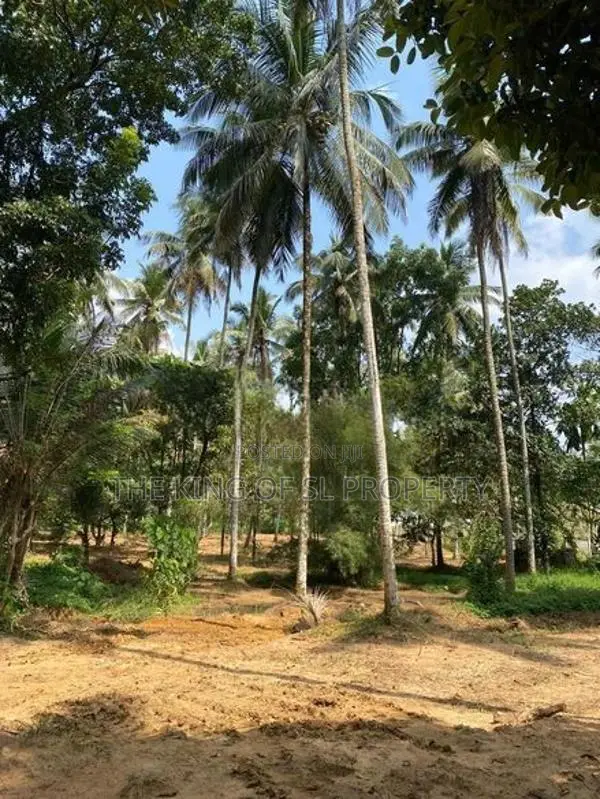 Land for Sale in Godagama ( Watareka)