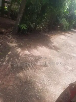 Land For Sale In Raththanapitiya