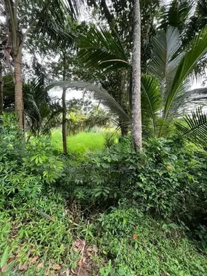 Mathara : 53 Perches Land for Sale in Kekanadura