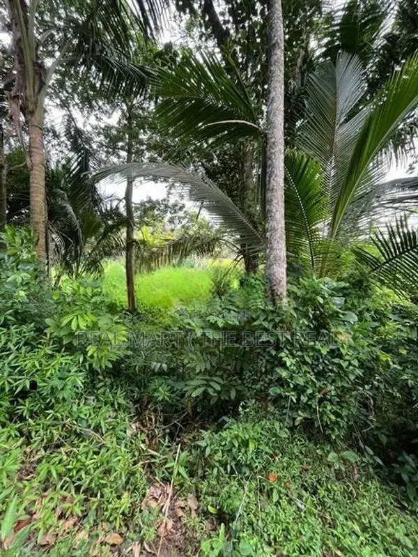 Mathara : 53 Perches Land for Sale in Kekanadura