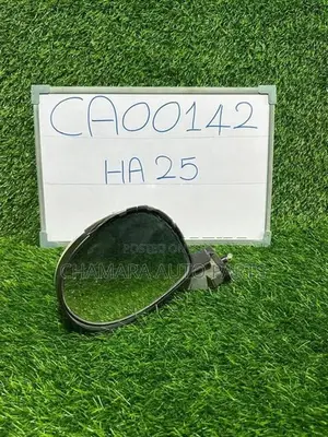 Suzuki Alto (HA25) Side Mirror