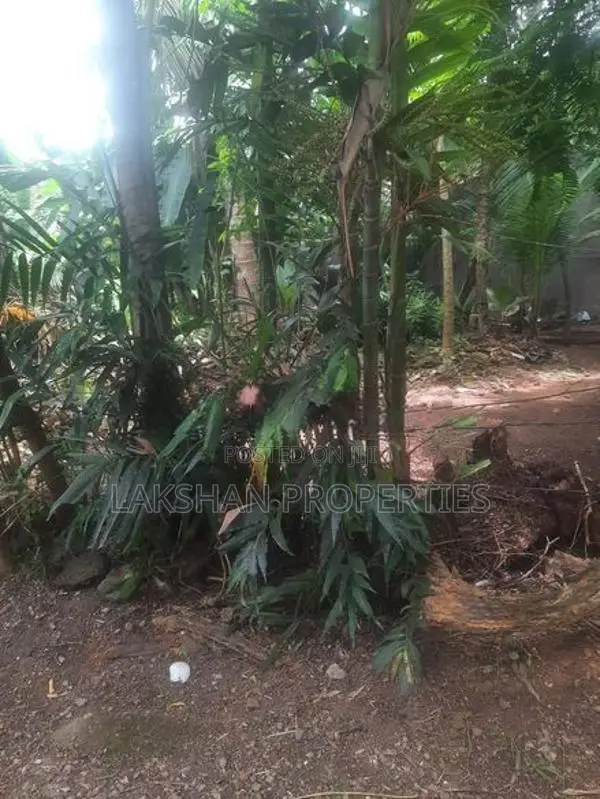 Land For Sale In Raththanapitiya